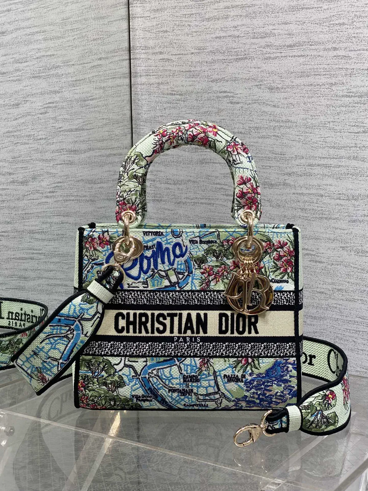 Dior Embroidered Map Print Lady Top Handle Bag image 1