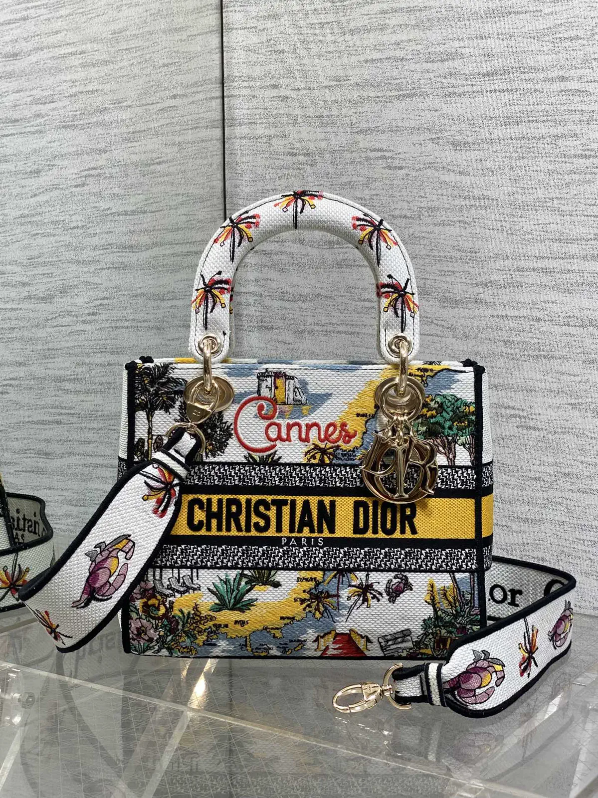 Dior Cannes Embroidered Top Handle Bag image 1