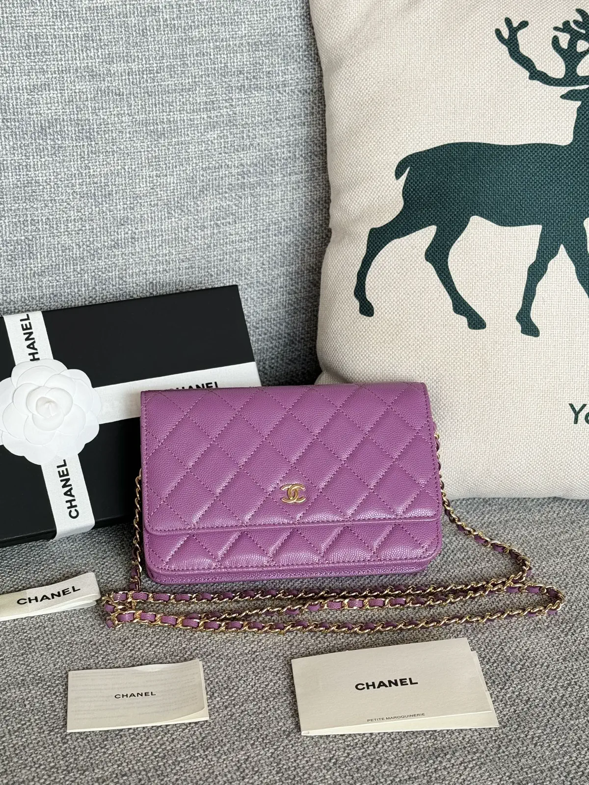 Chanel Quilted Caviar WOC Crossbody Bag image 1