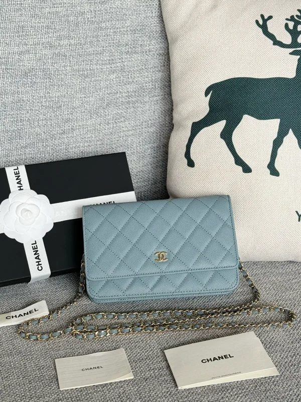Chanel Quilted WOC Crossbody Bag image 1