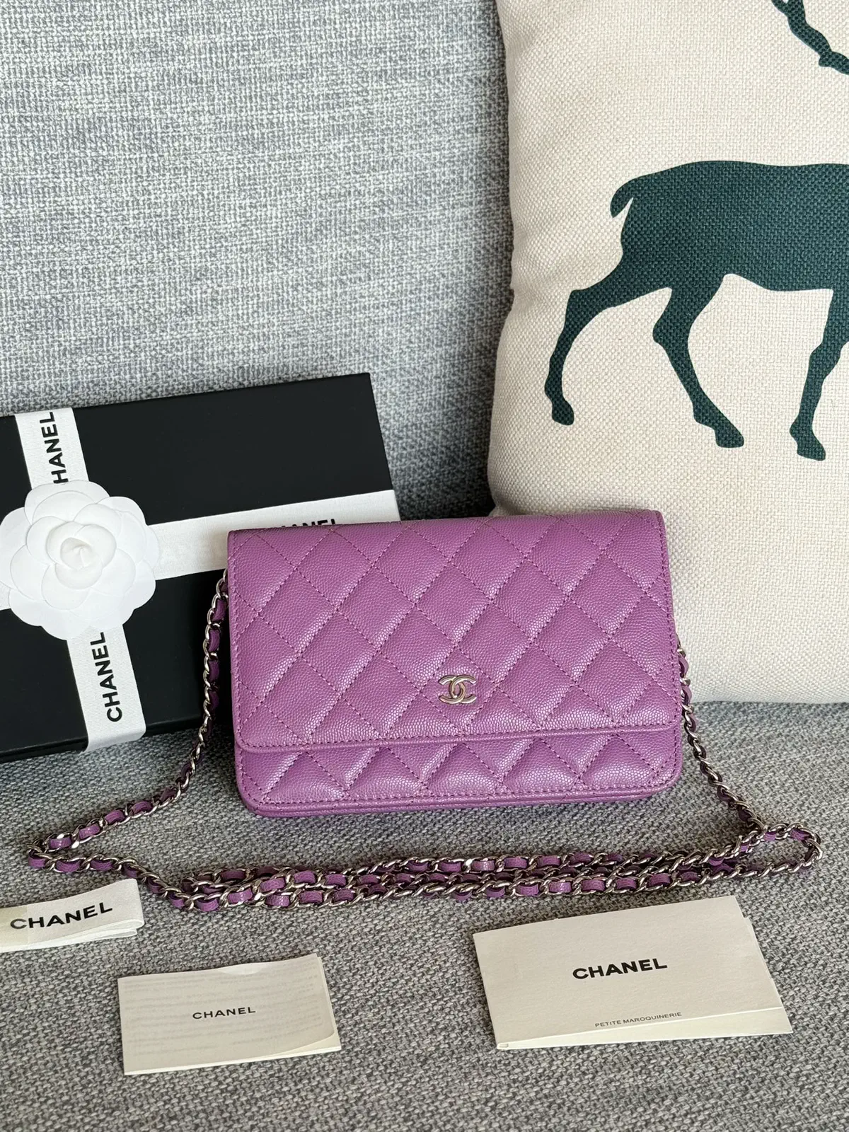 Chanel Quilted Caviar Leather WOC Crossbody Bag image 1