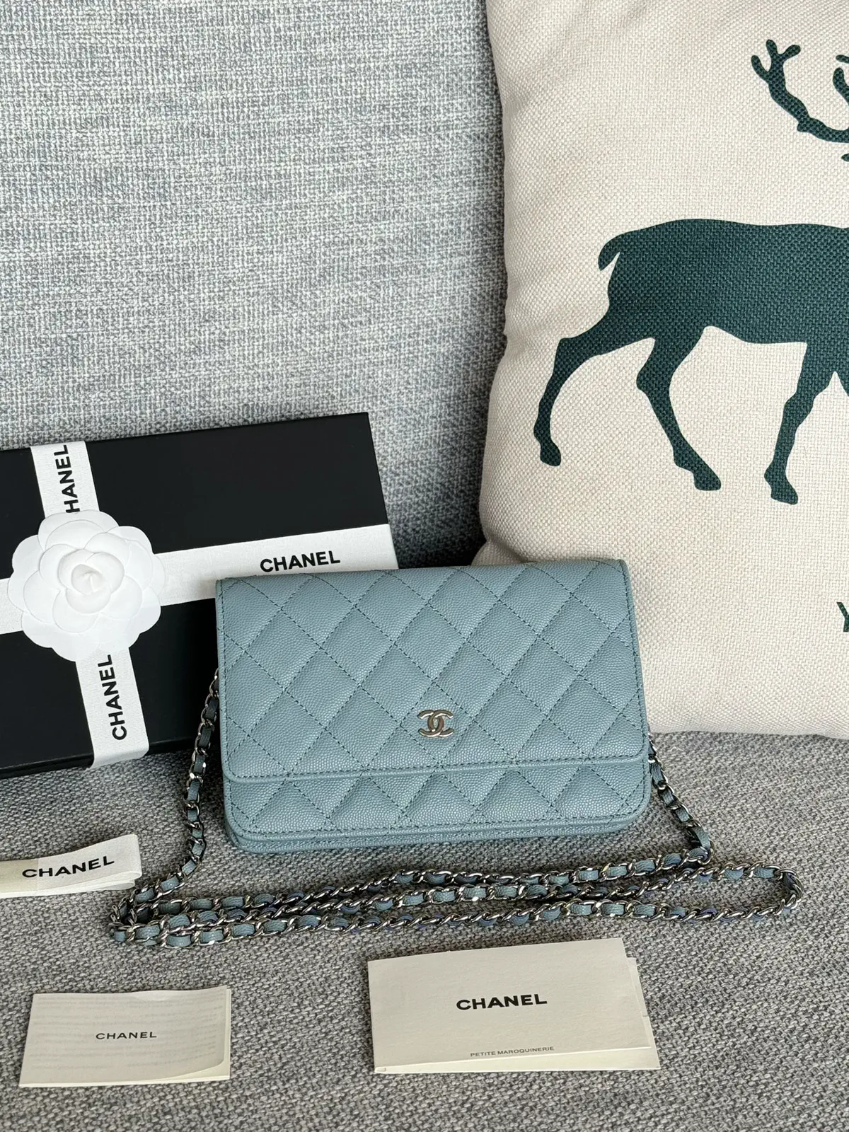 Chanel Quilted Caviar WOC Crossbody Bag image 1
