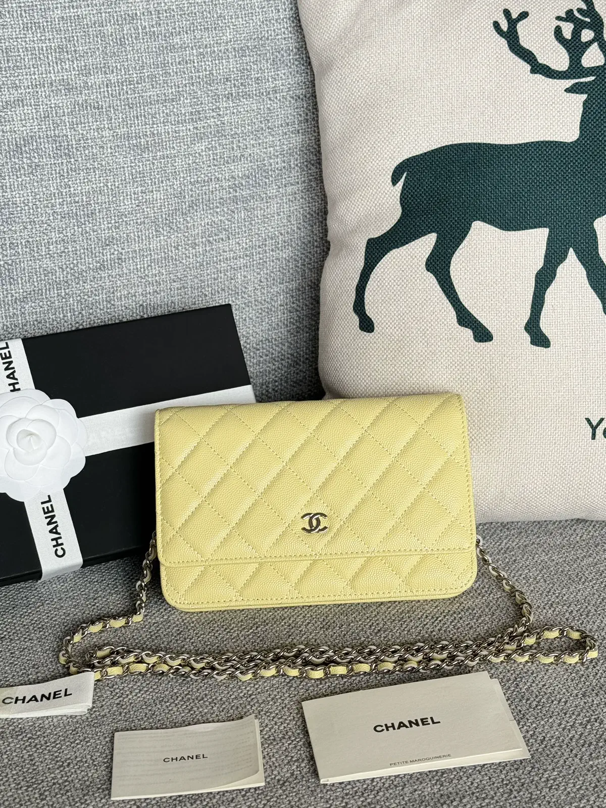 Chanel Quilted Caviar Leather WOC Crossbody Bag image 1