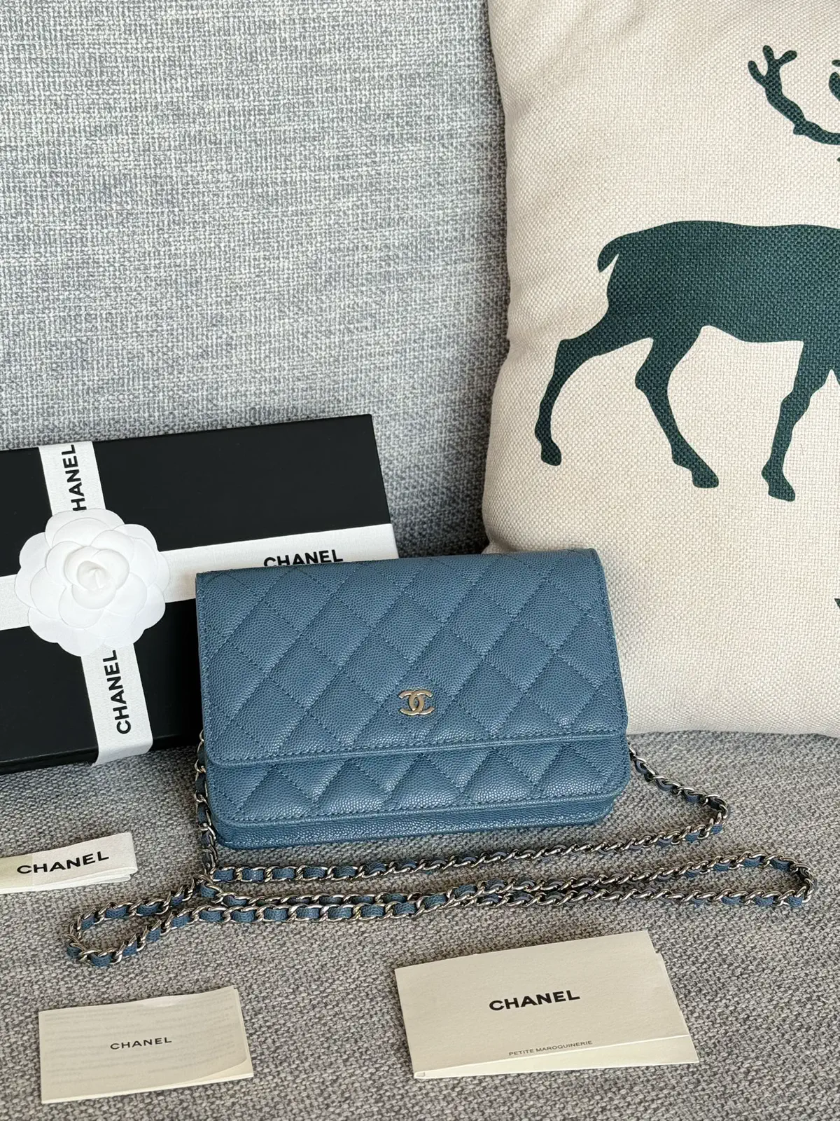 Chanel Quilted Caviar WOC Crossbody Bag image 1