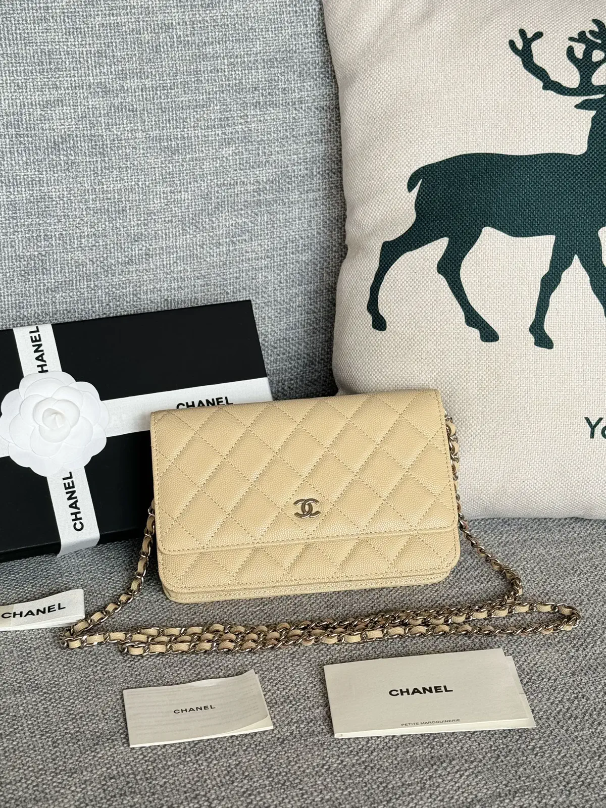 Chanel Quilted Caviar Leather WOC Crossbody Bag image 1
