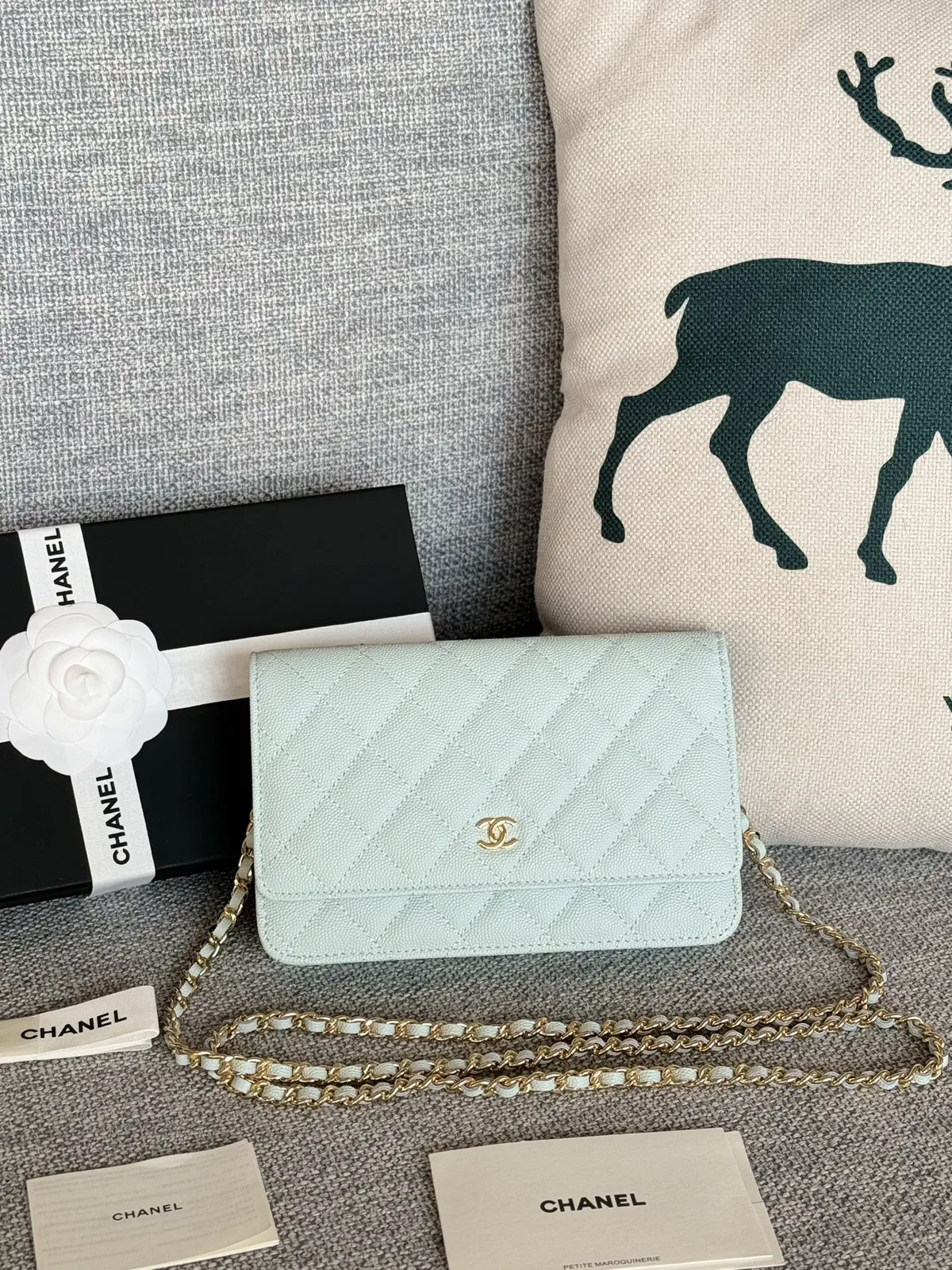 Chanel Quilted Caviar Leather WOC Crossbody Bag image 1