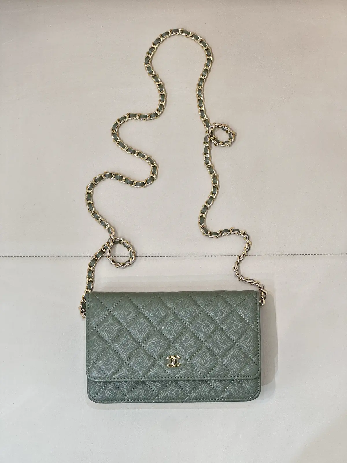 Chanel Quilted Chain Wallet on Chain image 1