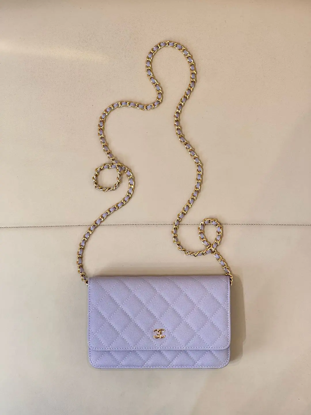 Chanel Quilted Wallet on Chain image 1