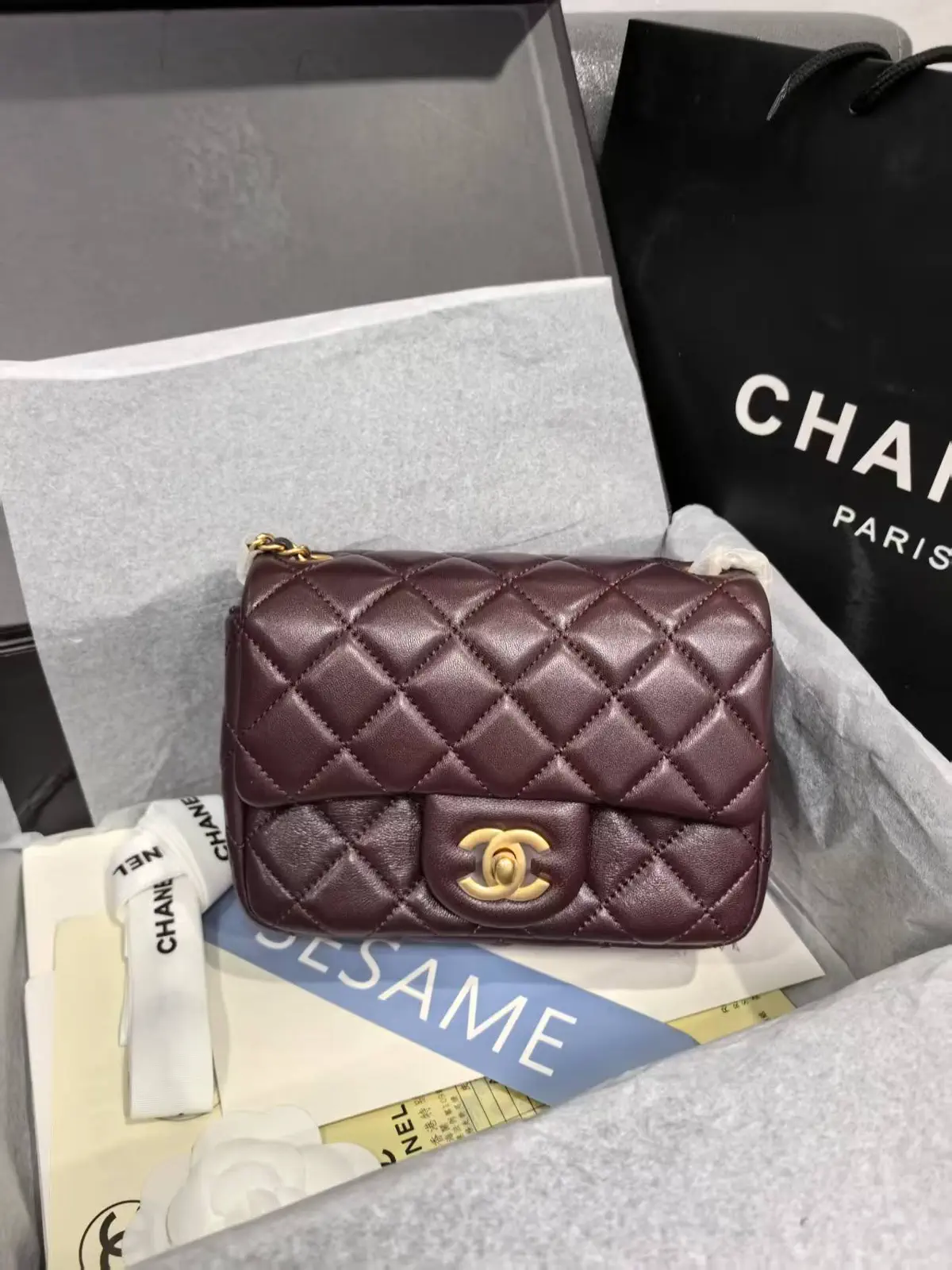 Chanel Quilted Flap Bag with Adjustable Chain Strap image 1