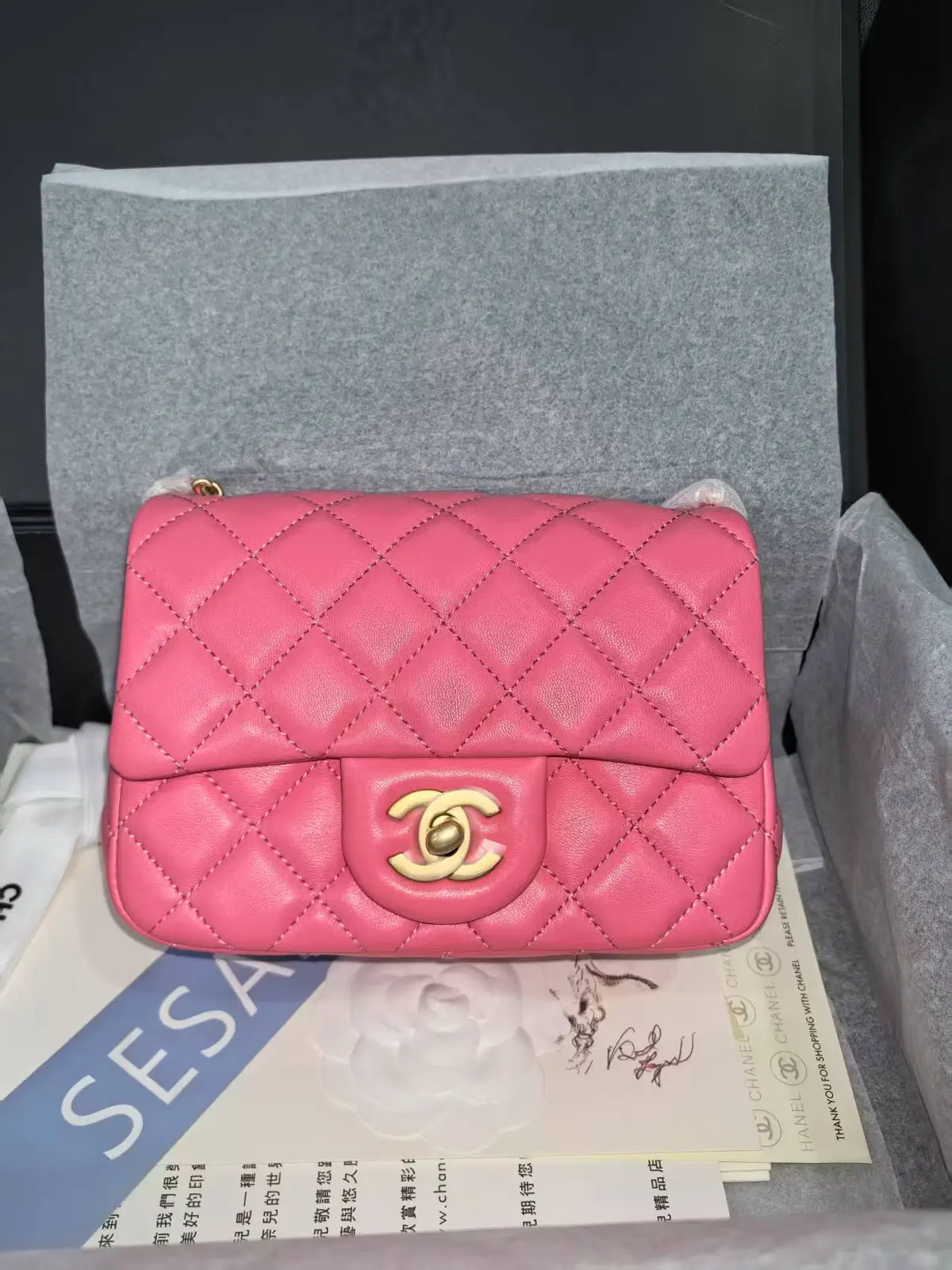 Chanel Quilted Flap Bag image 1