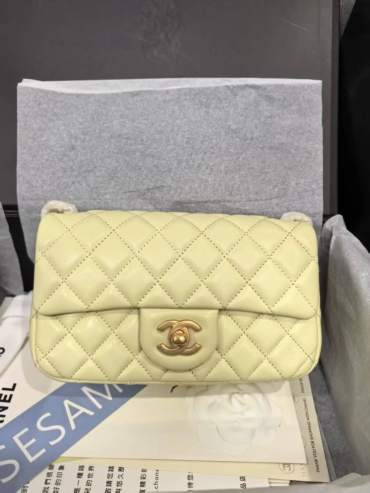Chanel Quilted Flap Bag image 1