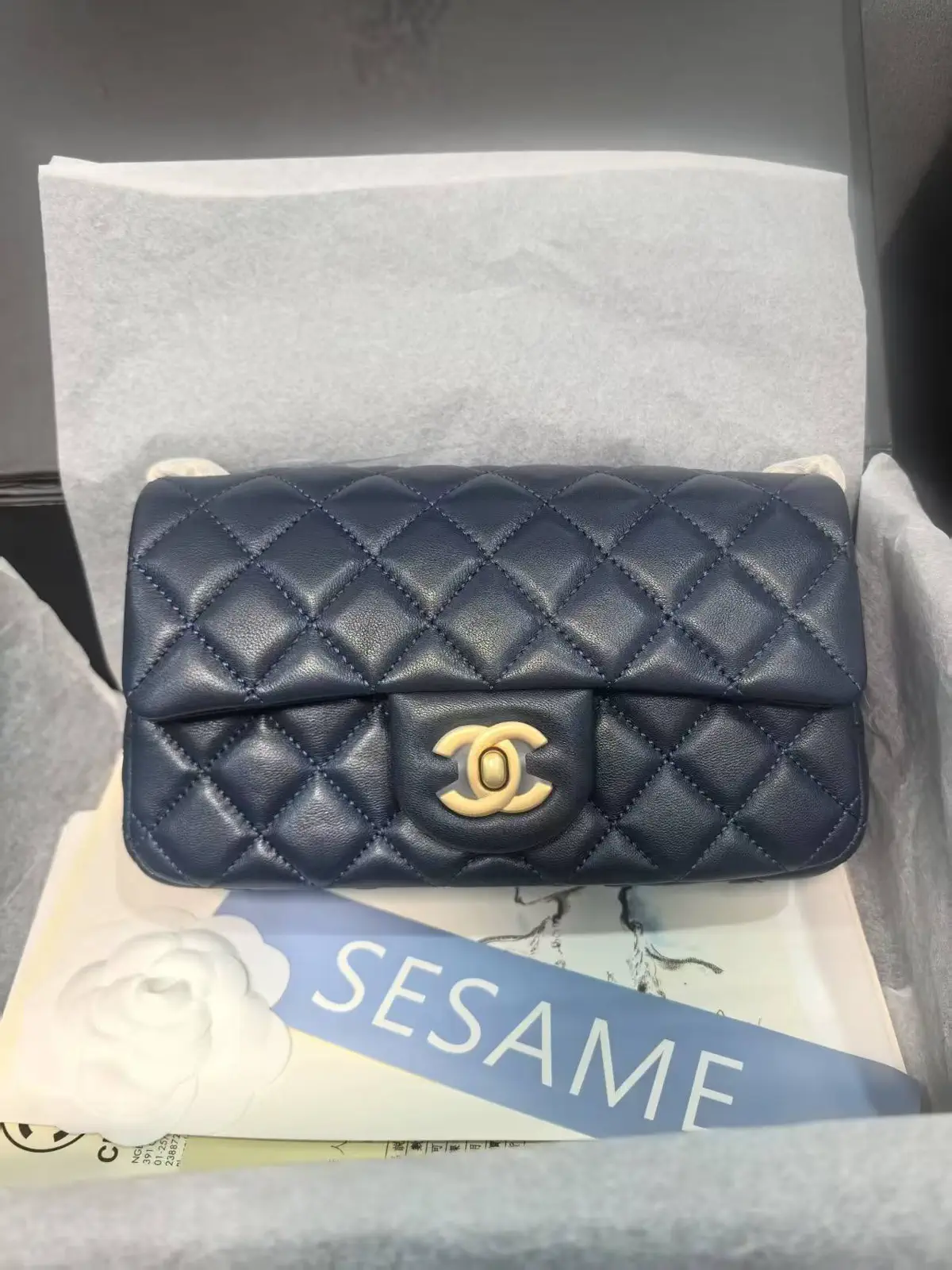 Chanel Quilted Flap Bag image 1