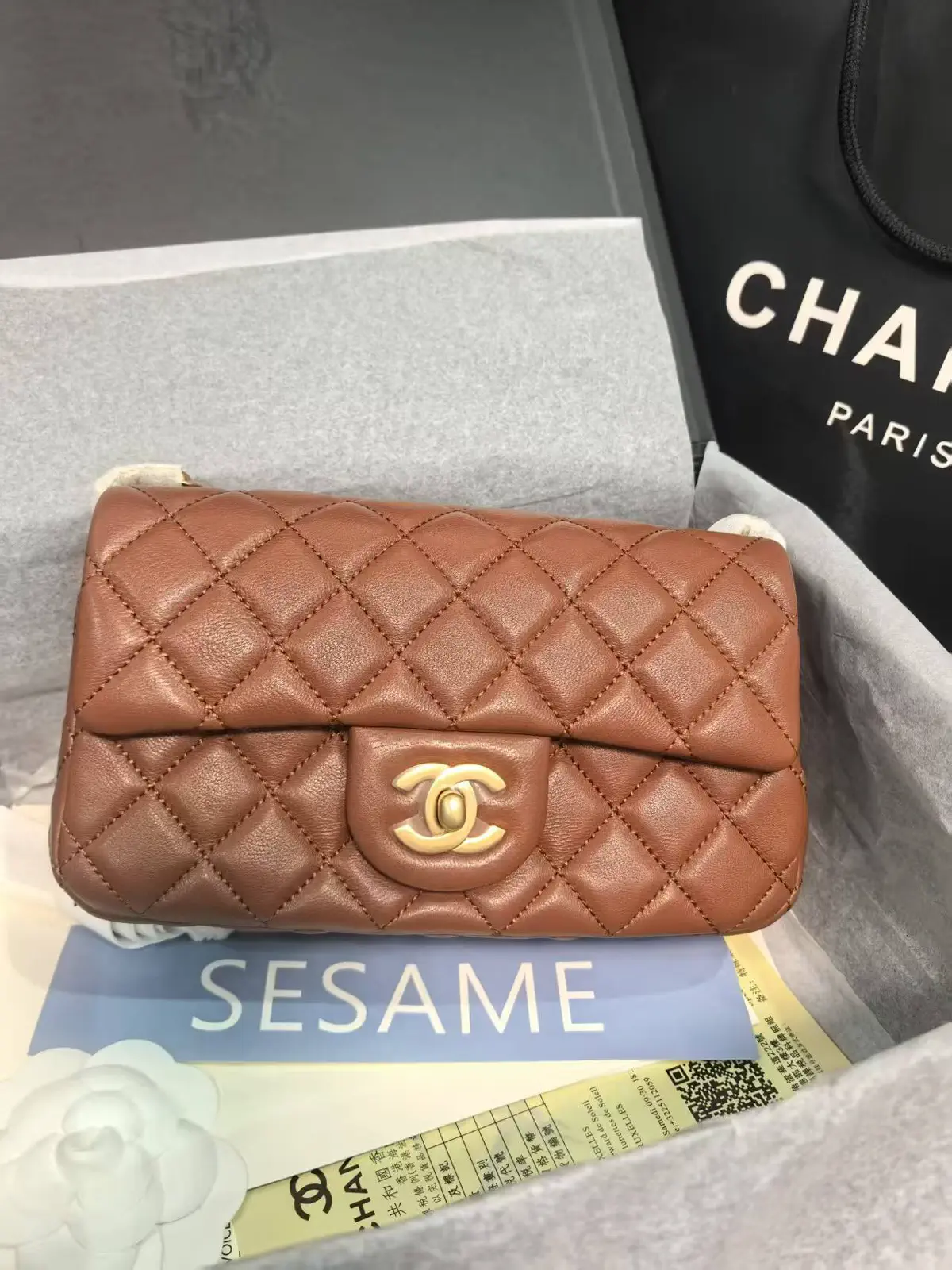 Chanel Quilted Flap Bag with Adjustable Chain Strap image 1