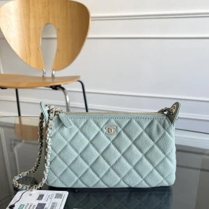 Chanel Quilted Chain Crossbody Bag image 1