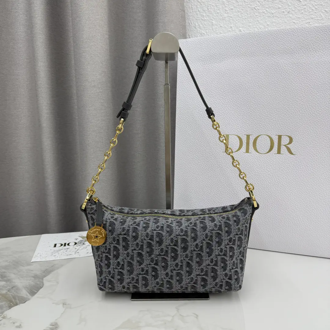 Dior Gray Monogram Star Hobo Shoulder Bag image 1