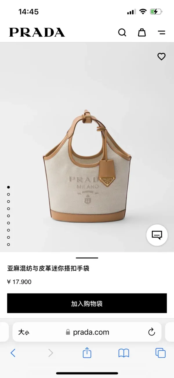 Prada Mini Top Handle Bag image 1