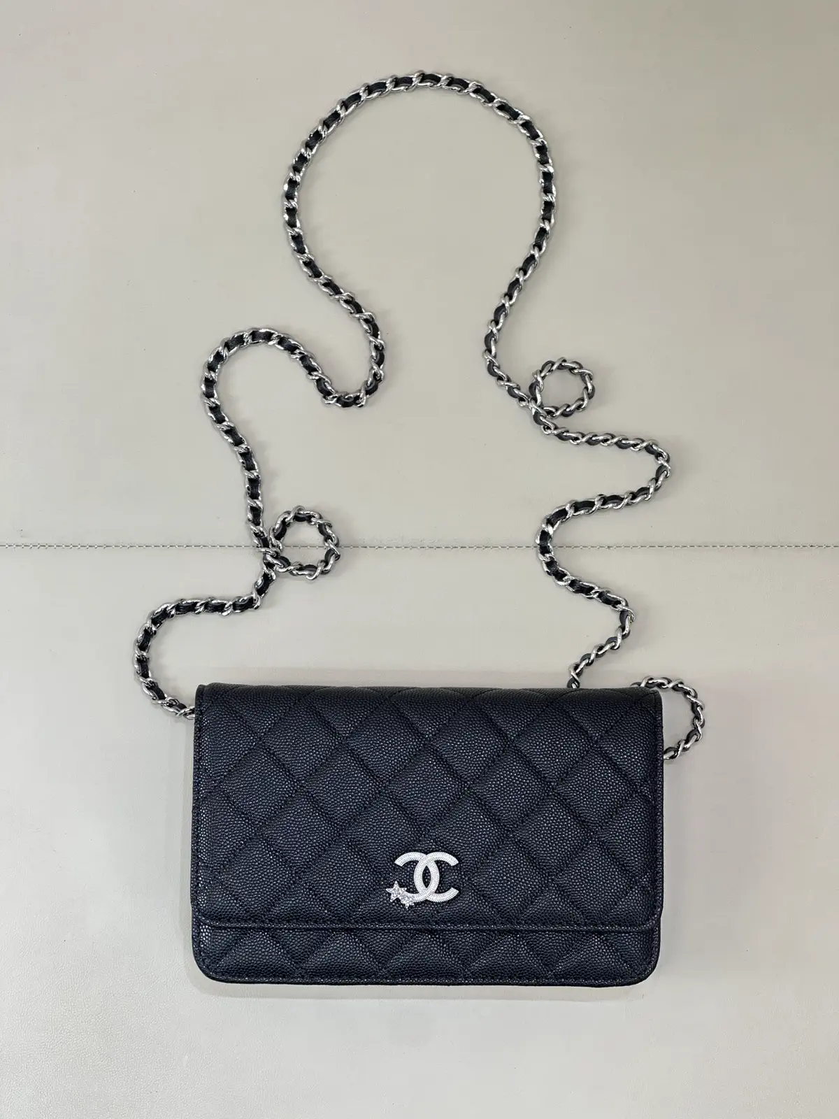 Chanel Quilted WOC Crossbody Bag image 1