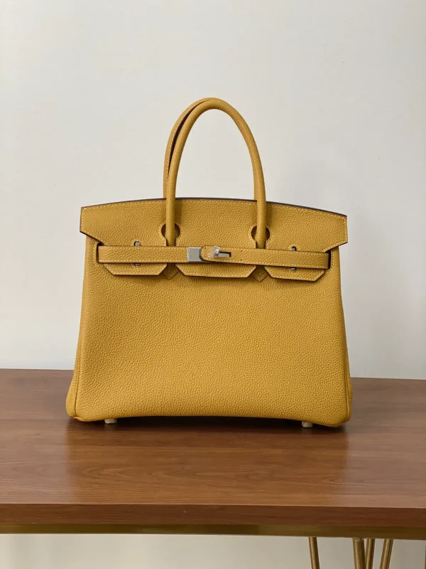 Hermès Birkin Top Handle Bag image 1