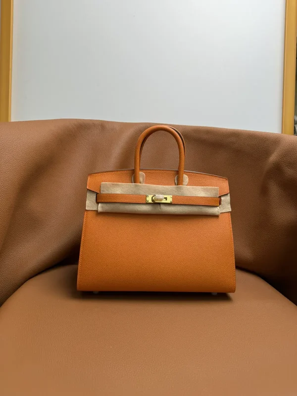Hermès Birkin 25 Top Handle Bag image 1