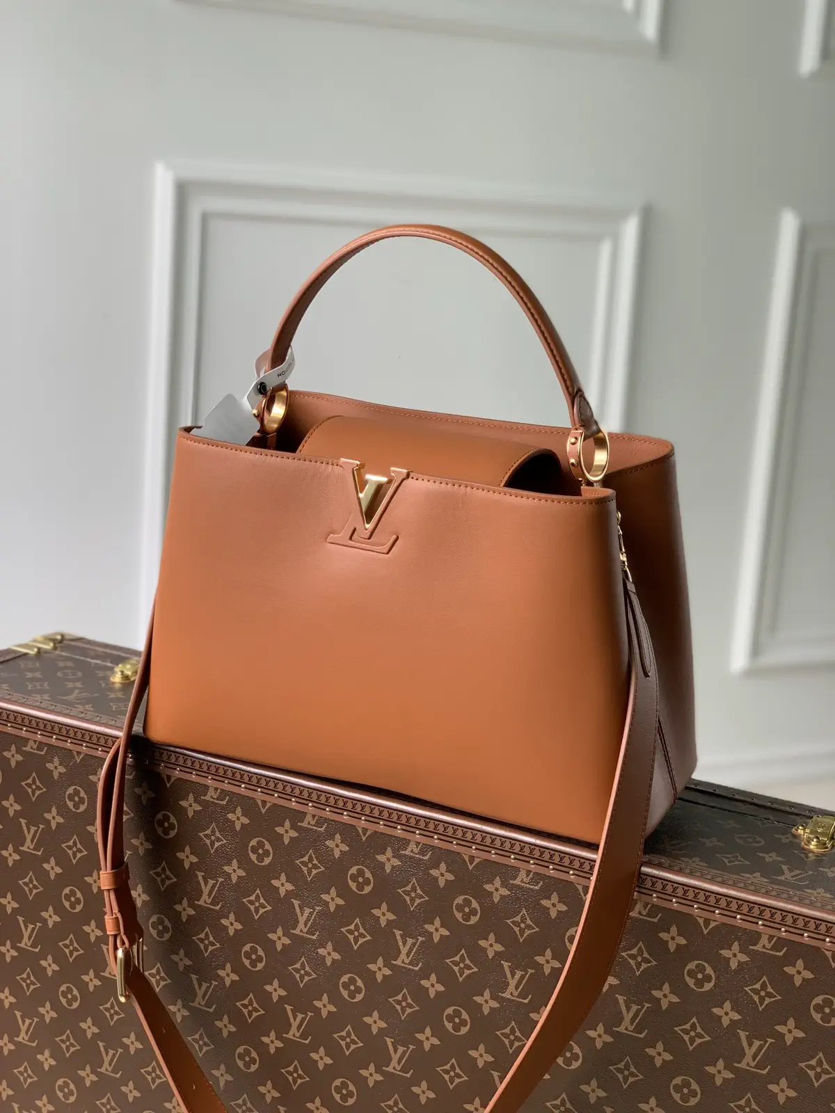 Louis Vuitton Capucines Souple Top Handle Bag image 1