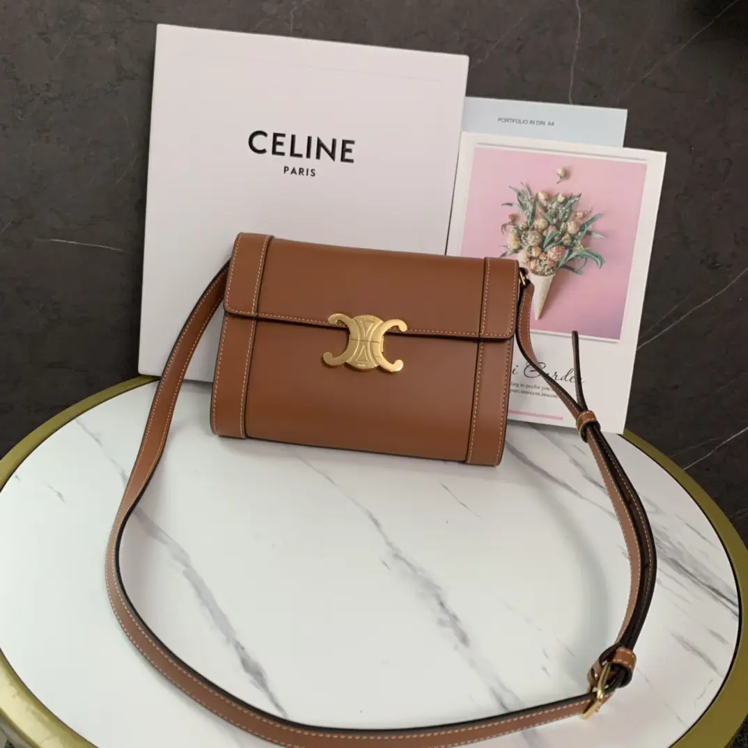 CELINE Triomphe WOC Crossbody Bag image 1