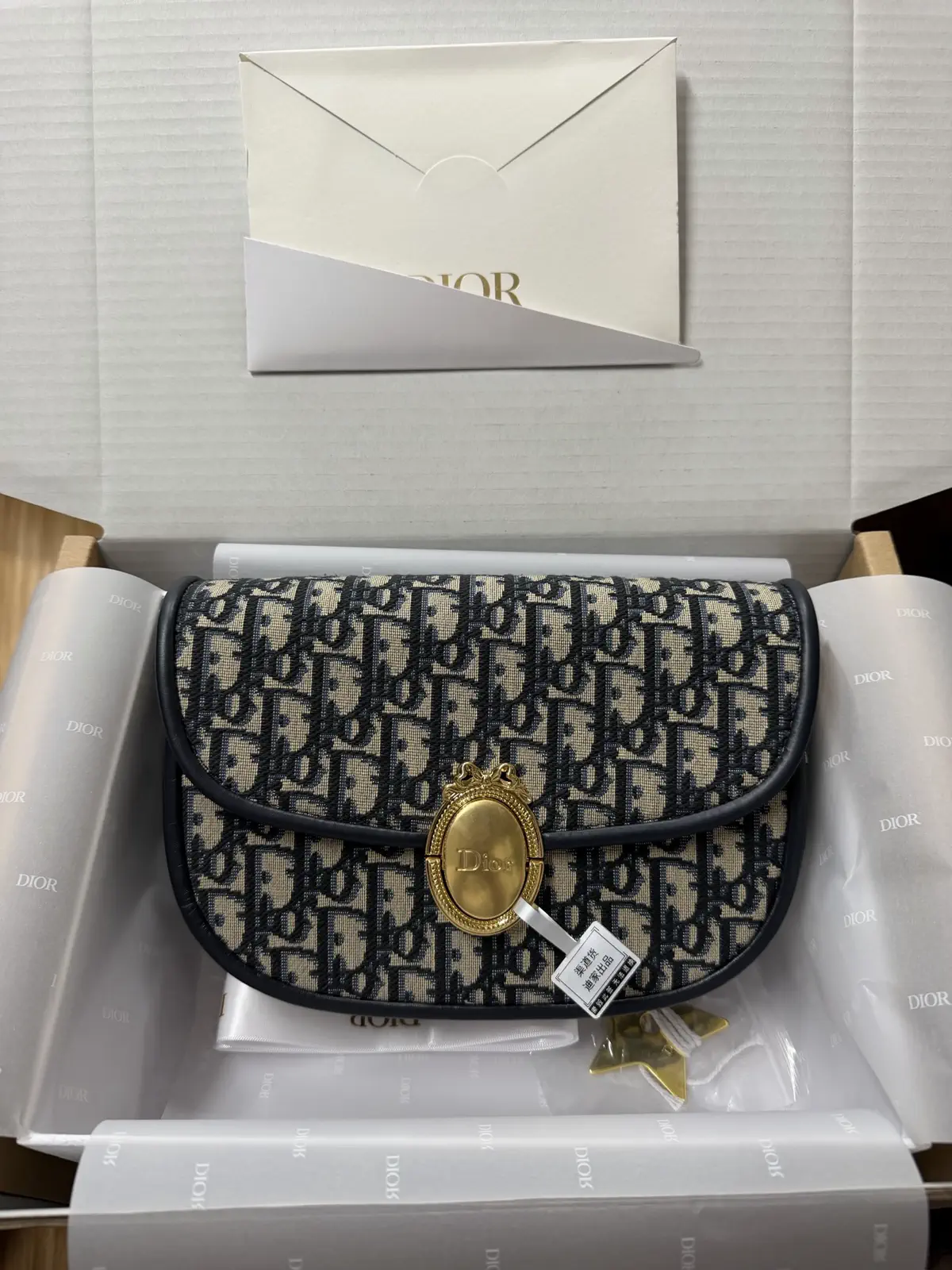 Dior Monogram Flap Bag image 1