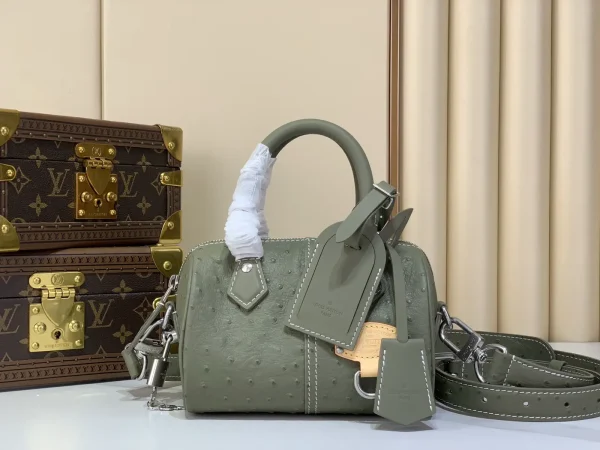 Louis Vuitton Speedy Bandoulière 20 Top Handle Bag image 1