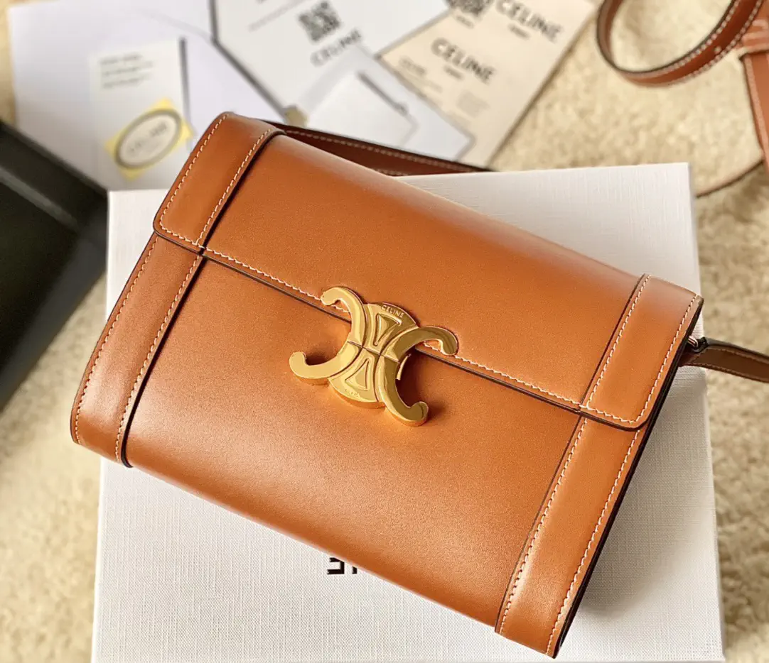 CELINE Triomphe WOC Crossbody Bag image 1