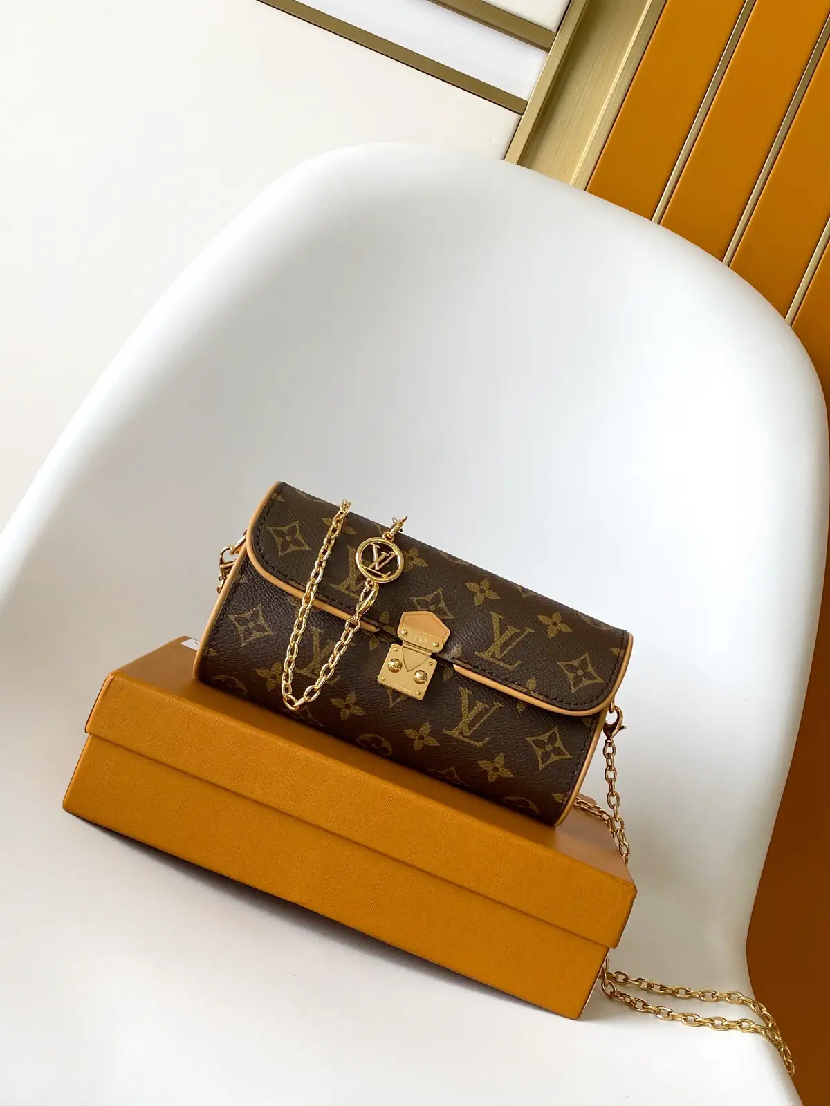Louis Vuitton Monogram Canvas Chain Bag image 1