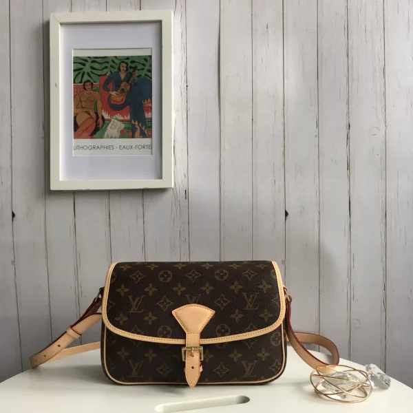 Louis Vuitton Monogram Sologne Crossbody Bag image 1