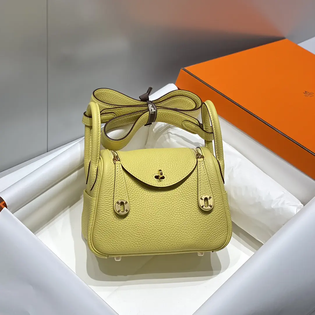 Hermès Mini Lindy Top Handle Bag image 1