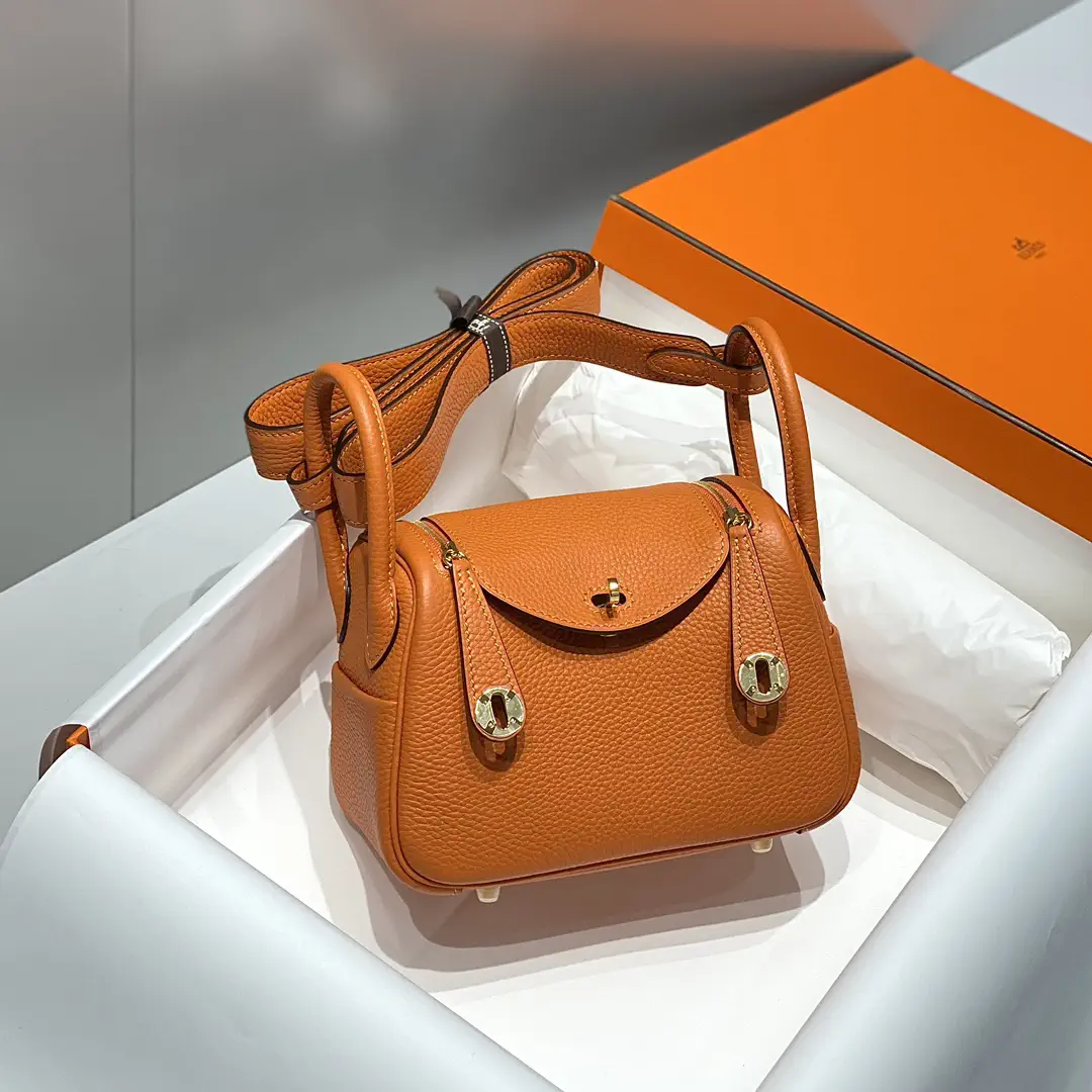 Hermès Mini Lindy Top Handle Bag image 1