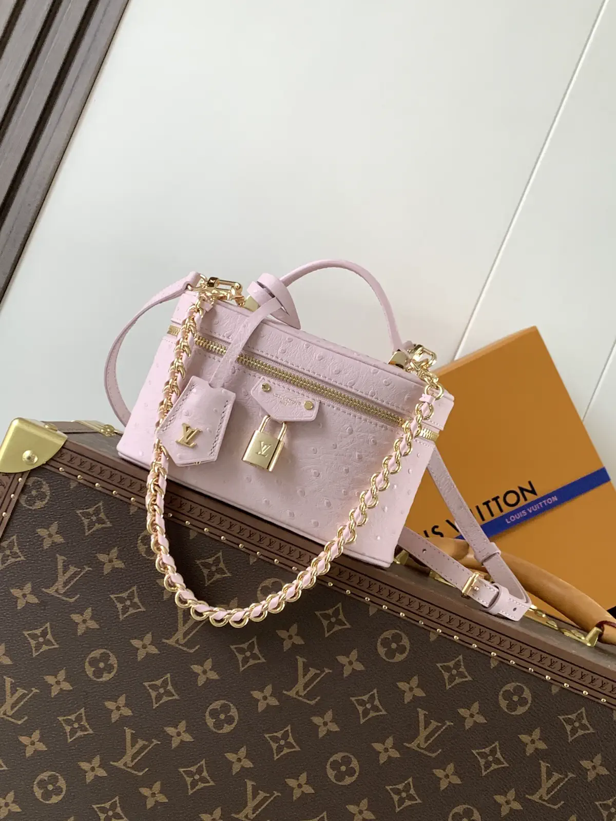 Louis Vuitton Light Pink Ostrich-Embossed Vanity Chain Pouch image 1