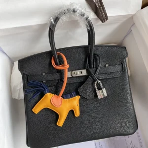 Hermès Birkin 25 Top Handle Bag image 1