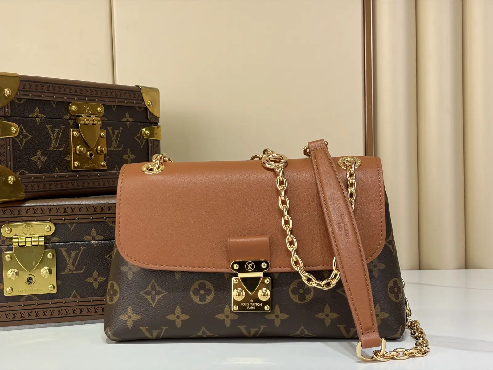 Louis Vuitton Monogram Canvas and Leather Shoulder Bag image 1