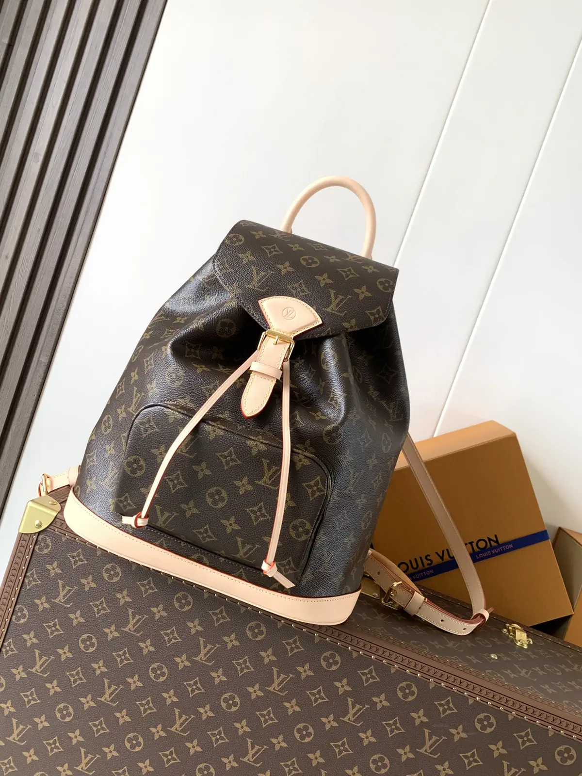Louis Vuitton Montsouris MM Monogram Backpack image 1
