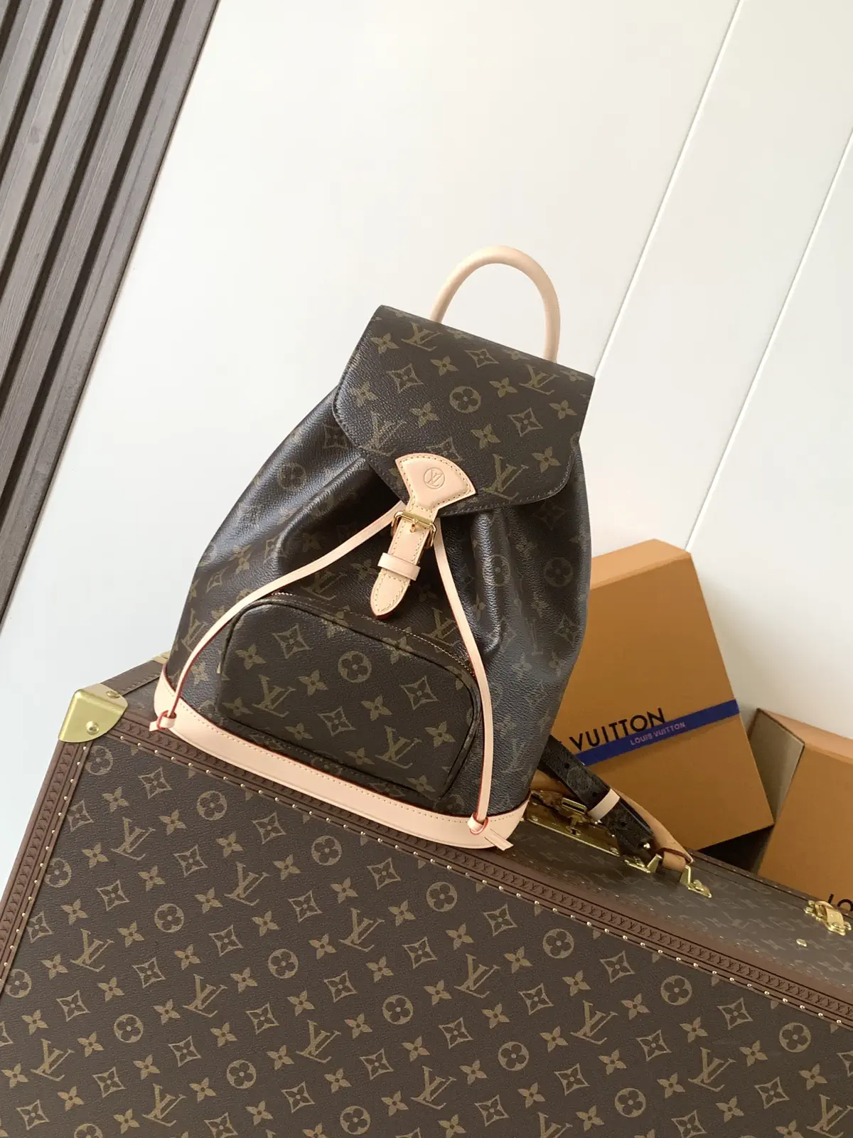 Louis Vuitton Montsouris PM Monogram Backpack image 1