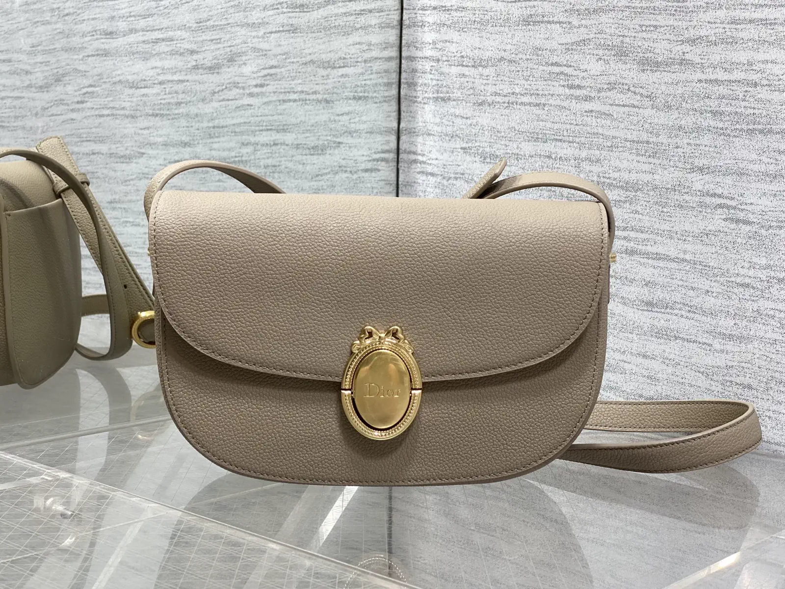 Dior Medaillon Oval Buckle Crossbody Bag image 1