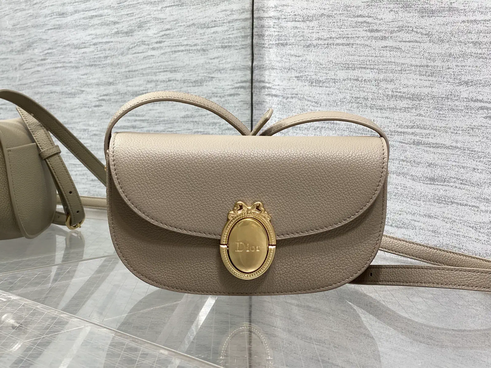 Dior Medaillon Oval Crossbody Bag image 1