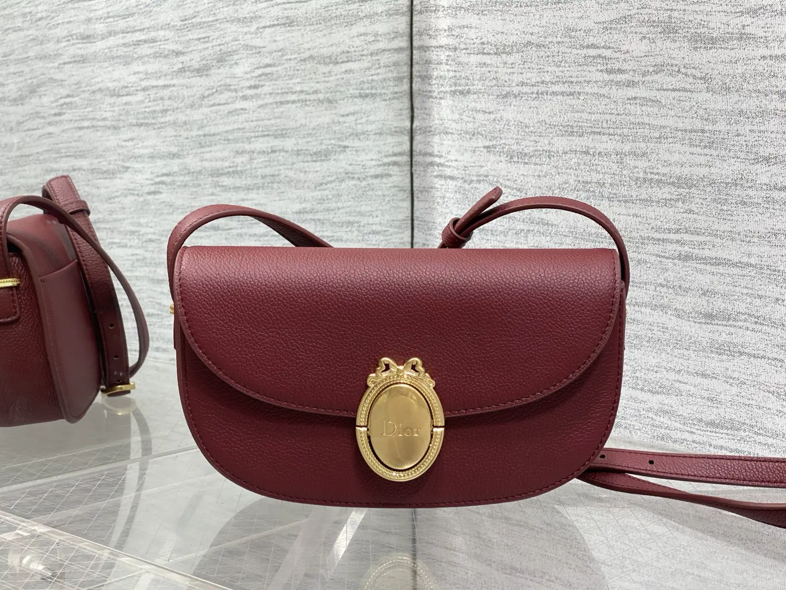 Dior Medaillon Oval Buckle Crossbody Bag image 1
