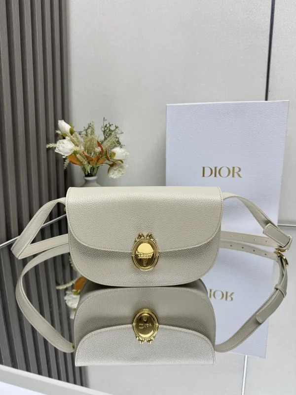 Dior Medaillon Oval Buckle Crossbody Bag image 1