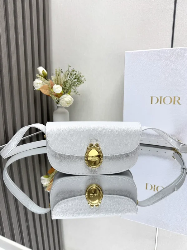 Dior Medaillon Oval Buckle Crossbody Bag image 1