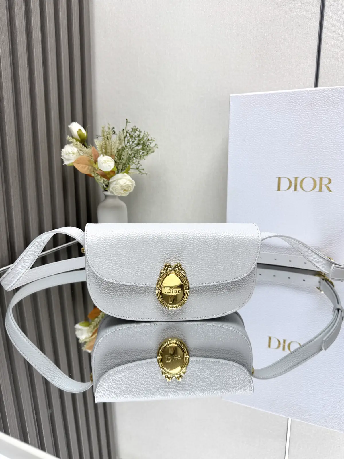 Dior Medaillon Oval Buckle Crossbody Bag image 1