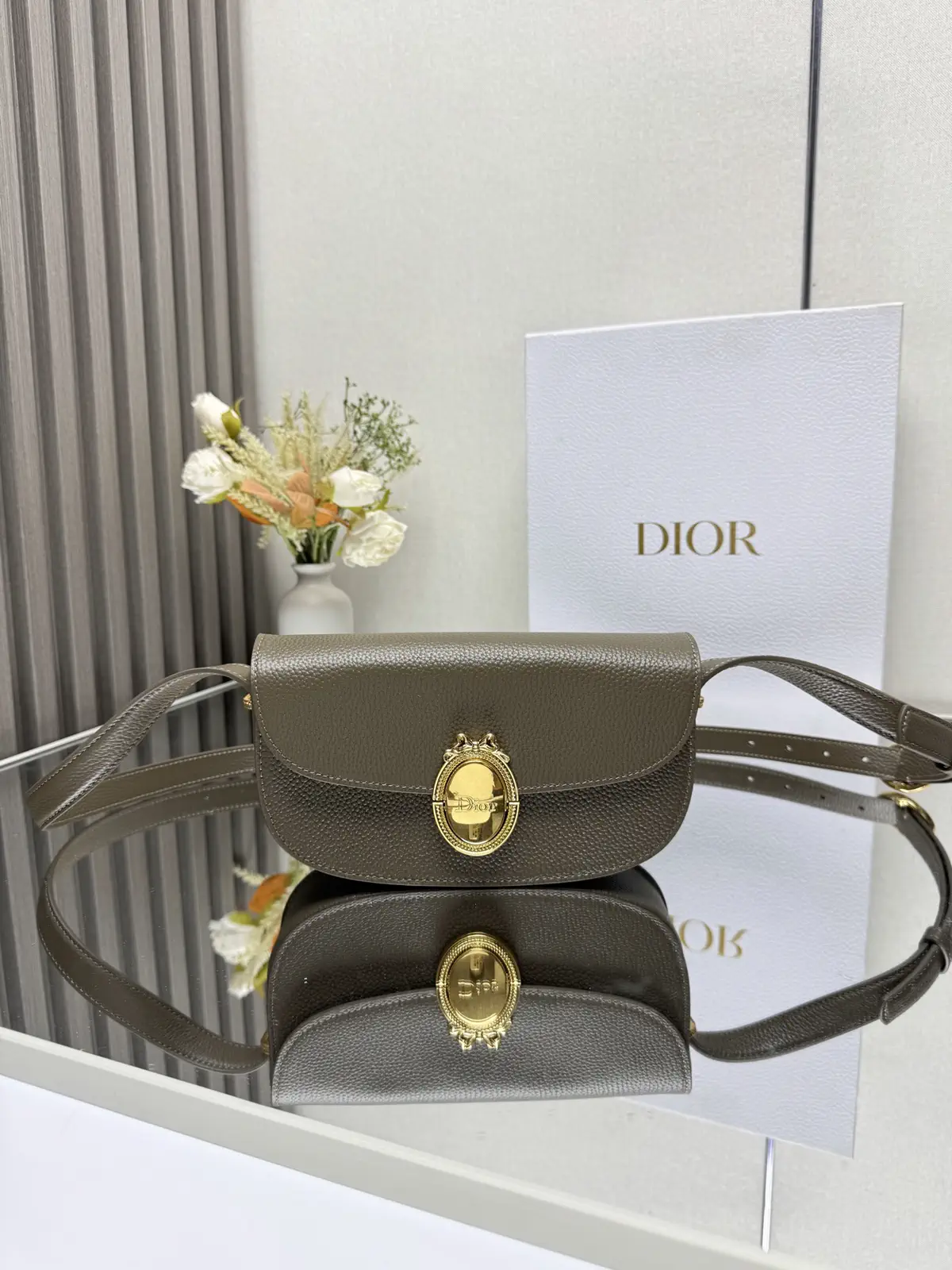 Dior Medaillon Oval Buckle Crossbody Bag image 1