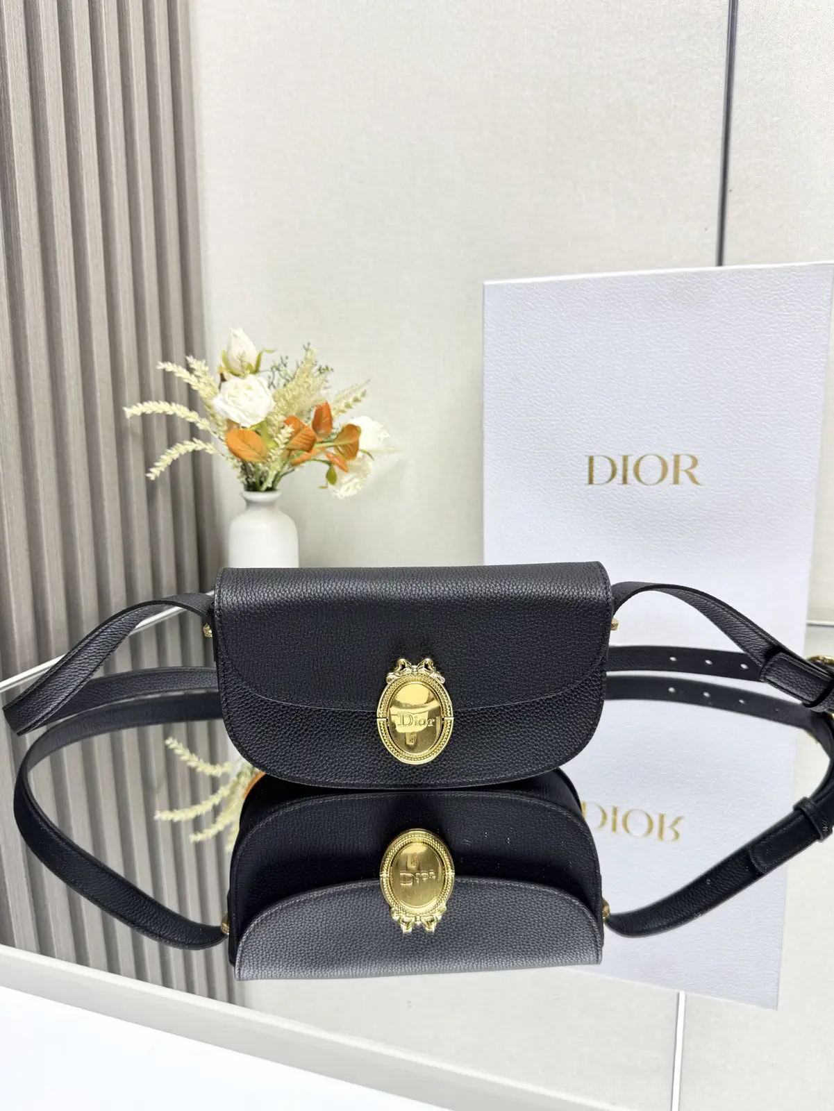 Dior Medaillon Oval Buckle Crossbody Bag image 1