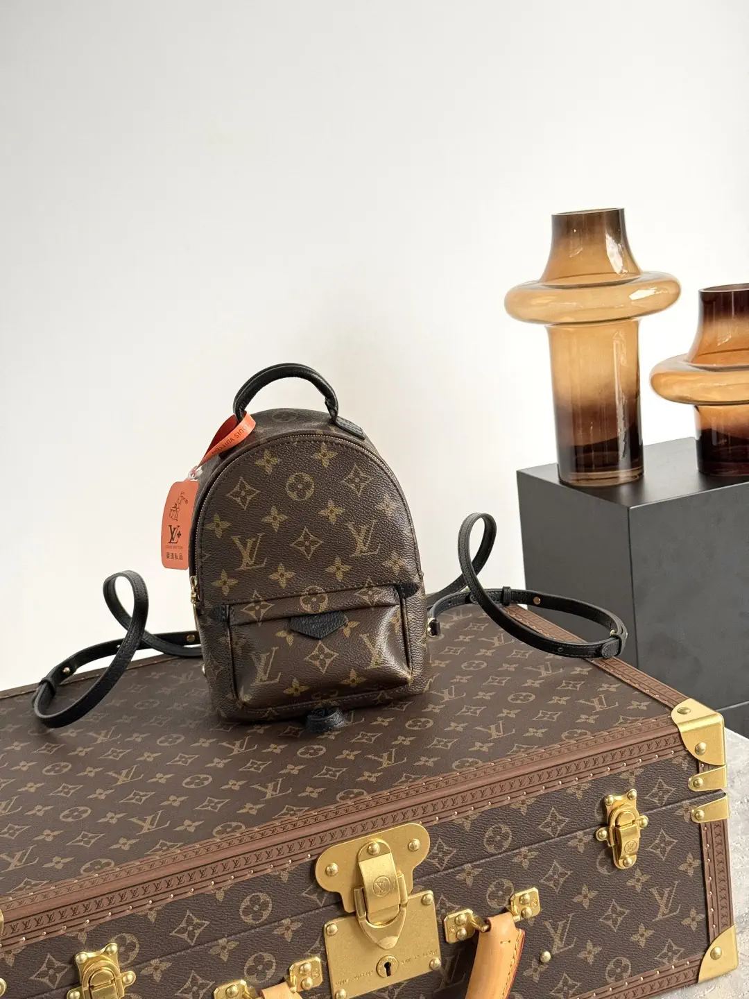 Louis Vuitton Palm Springs Mini Backpack image 1