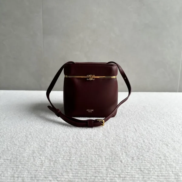 CELINE Triomphe Frame Box Bag image 1