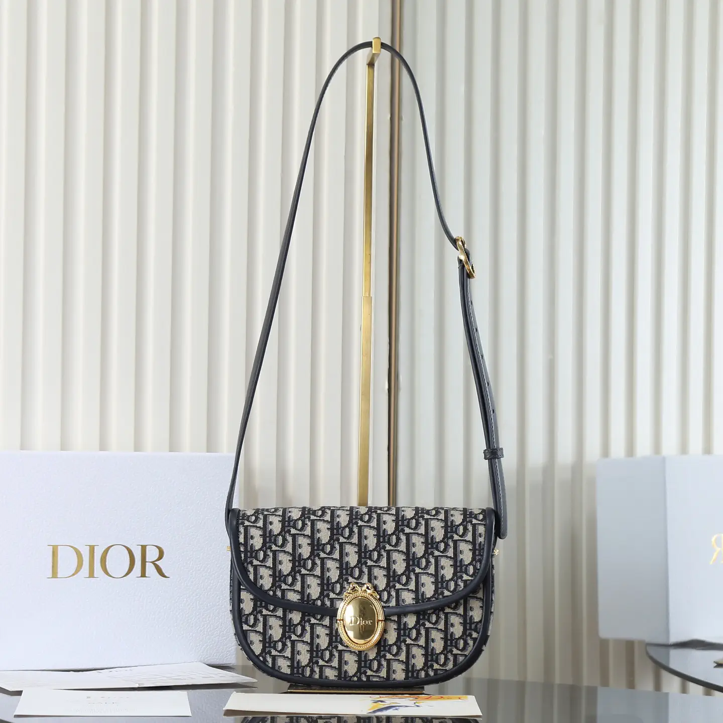 Dior Medaillon Oblique Monogram Shoulder Bag image 1