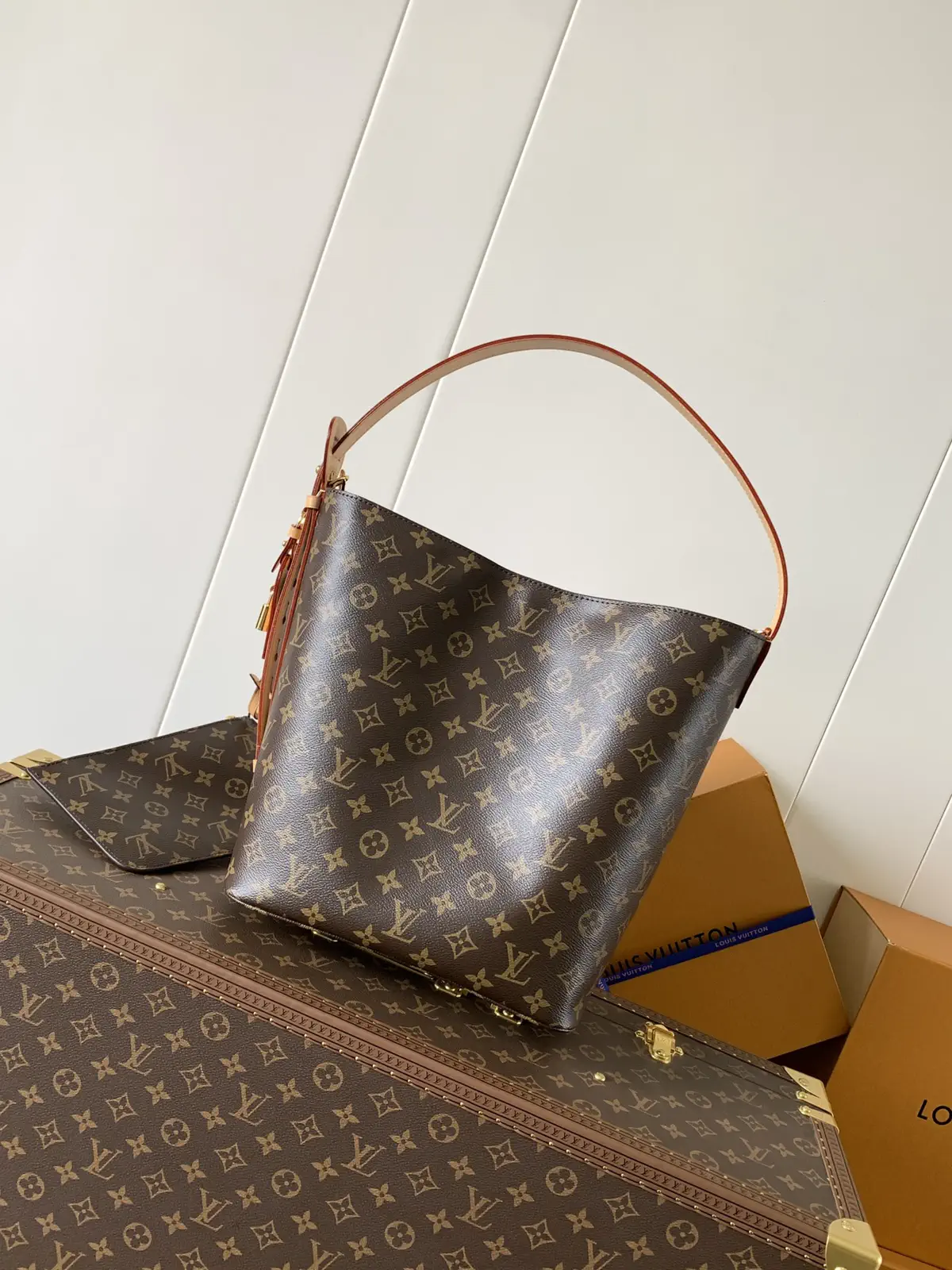 Louis Vuitton Monogram All In MM Hobo Bag image 1