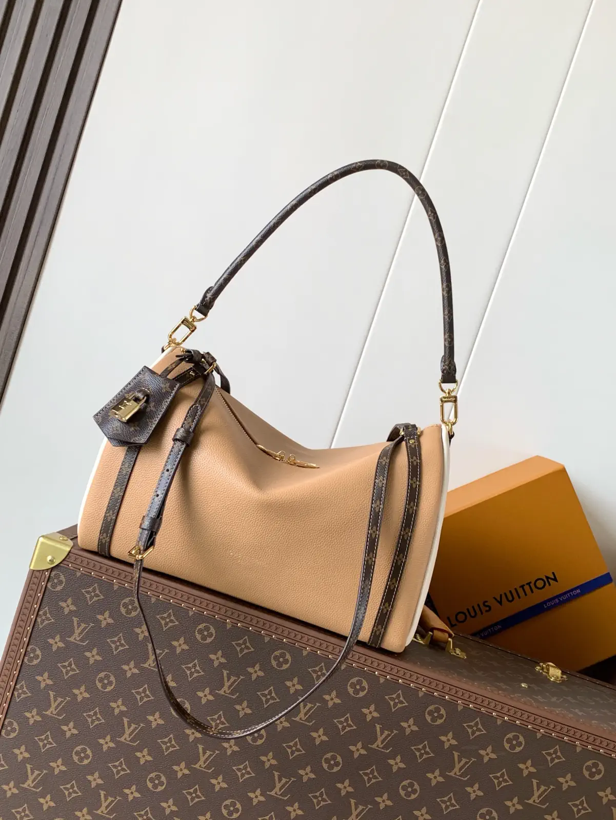 Louis Vuitton Express Medium Handbag image 1